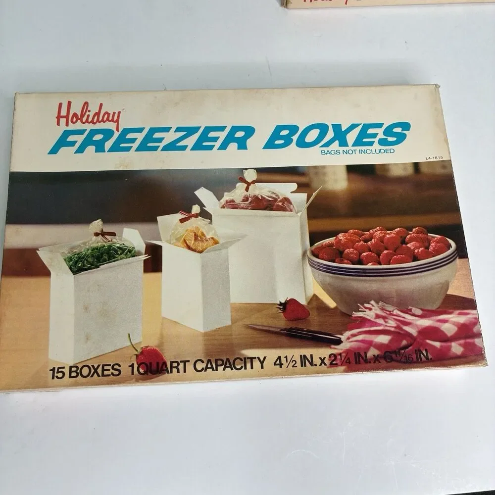 Lot Of 4 Vintage Hefty 15 Freezer Boxes Food Storage 1 Quart NOS